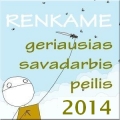 Paveikslėlis