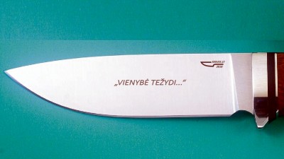 prototipas-kaire-gelezte.jpg