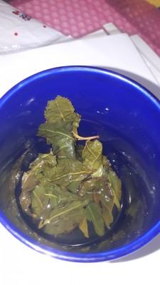 Anxi Fuijan Oolong simmered.jpg