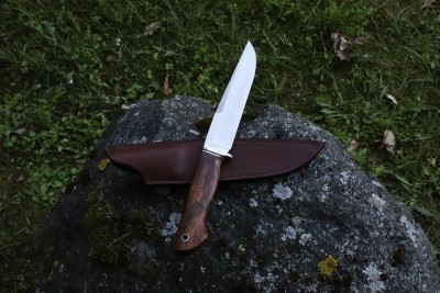 IMG_7670.JPG
