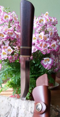 20170510_112926.jpg