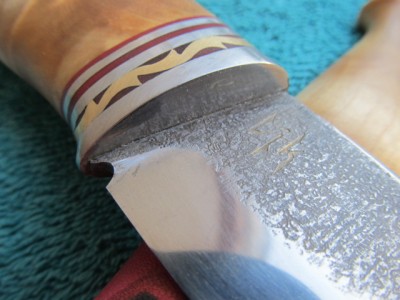IMG_5413.jpg