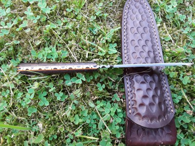 20190630_122205.jpg