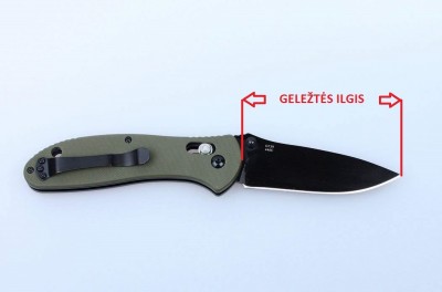 G739_geleztes-ilgis.jpg