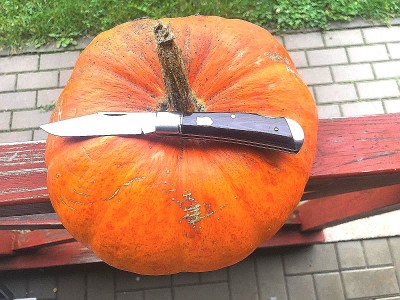 IMG_20201106_110222.jpg