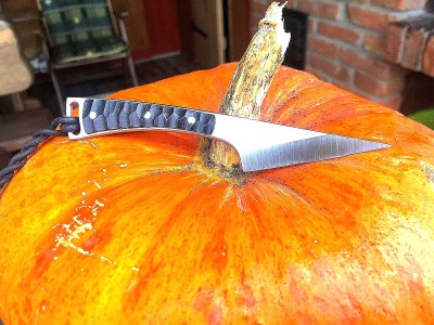 IMG_20201106_110927.jpg