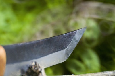 _DSC1264.jpg