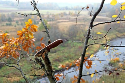 IMG_6225.JPG