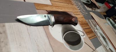 IMG_20260112_221958.jpg