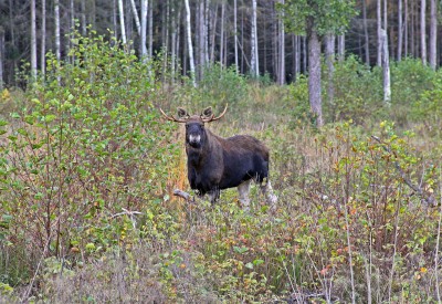 IMG_6401.JPG