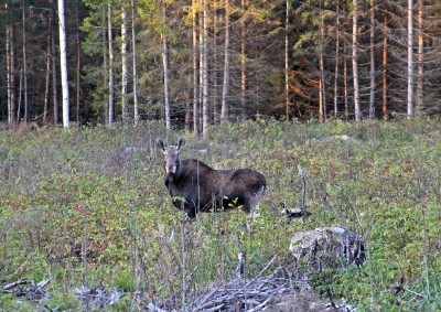IMG_6402.JPG