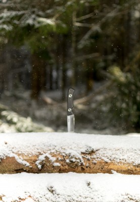 DSC_0194.jpg