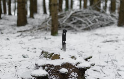 DSC_0212.jpg