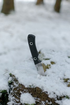 DSC_0246.jpg