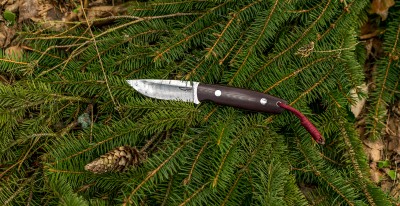 DSC_0289.jpg
