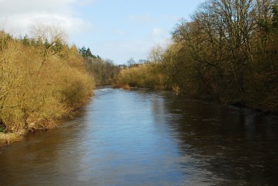 DSC_4897.JPG