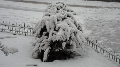 SAM_0670.JPG
