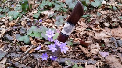 20150328_105055.jpg