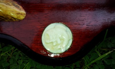 20150510_110420.jpg