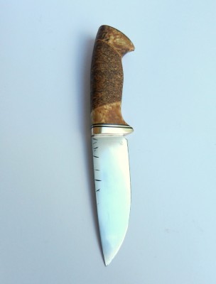 DSCN2968.JPG