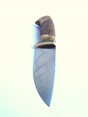 DSCN2974.JPG