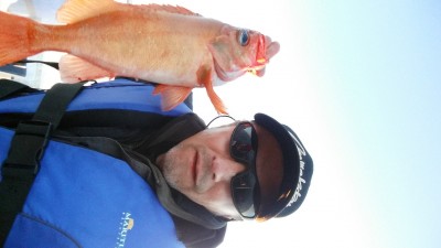 20160430_203407.jpg