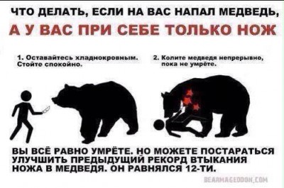 не надо в лес ходить.jpg