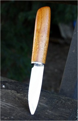 M1.jpg