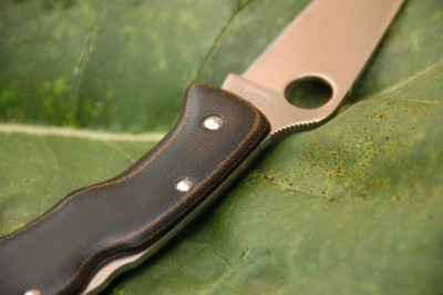 bcae9218b6a9.jpg