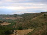 DSC00306.JPG
