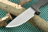 10x7-Busse-005.jpg