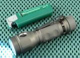 12x9-Zebralight-005.jpg