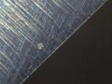 25x19-enot-3.jpg