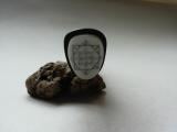 20131124_140436.jpg