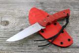 10x7-Tlim-red-016.jpg