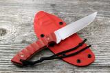 10x7-Tlim-red-018.jpg