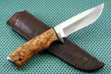 Giko-RWL34-berzas (2)
