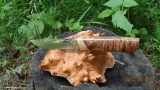 gi03-03