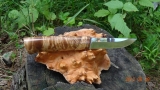 gi03-04