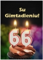 66