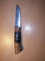 gi06-06