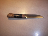 gi06-07