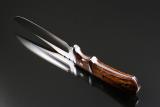 Ham-subhilt-hunter