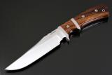Ham-subhilt-hunter