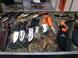 8x6IWA2011-020.jpg