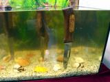 8x6IWA2011-102.jpg