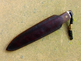 SN46-07