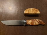 DG002-02