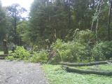 DSC00029.JPG