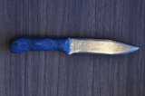 dr01-01